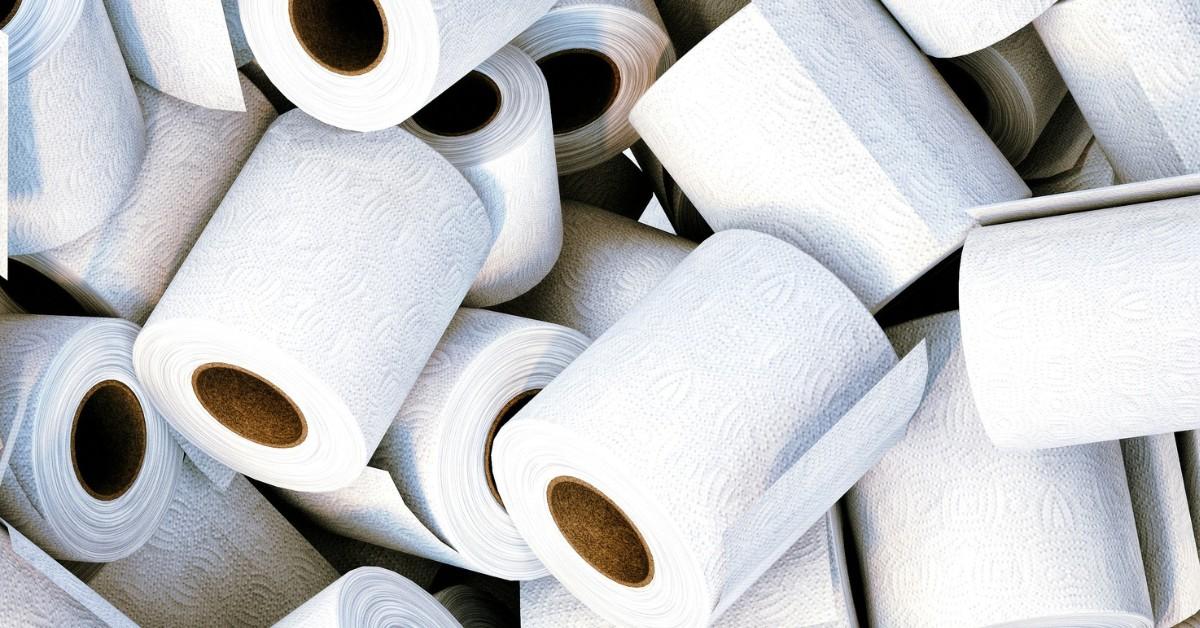 Is Bamboo Rest room Paper Septic Protected?