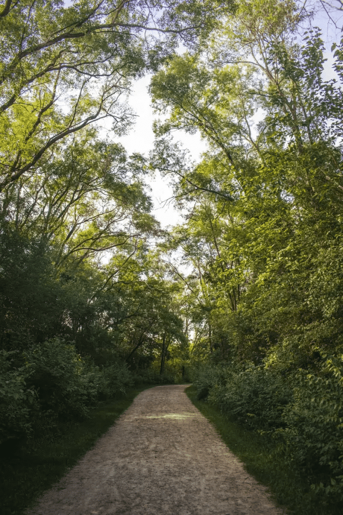 How to get better REM sleep: a peaceful path at night to take walks on