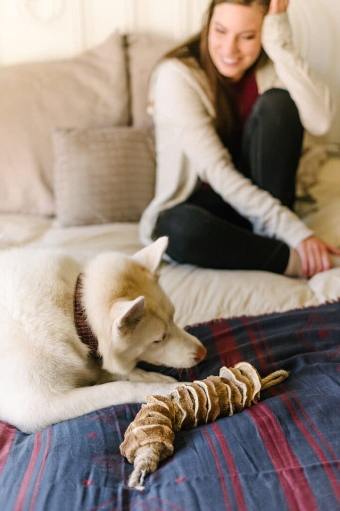 A dog on a bed with its owner in the background showing how to do a digital detox.