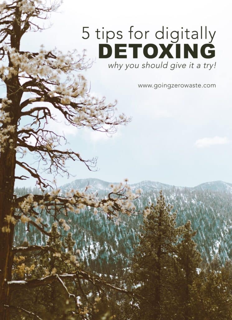 Digital detox - a nature scene with overlay text reading "5 tips for digitally detoxing: why you should give it a try!"